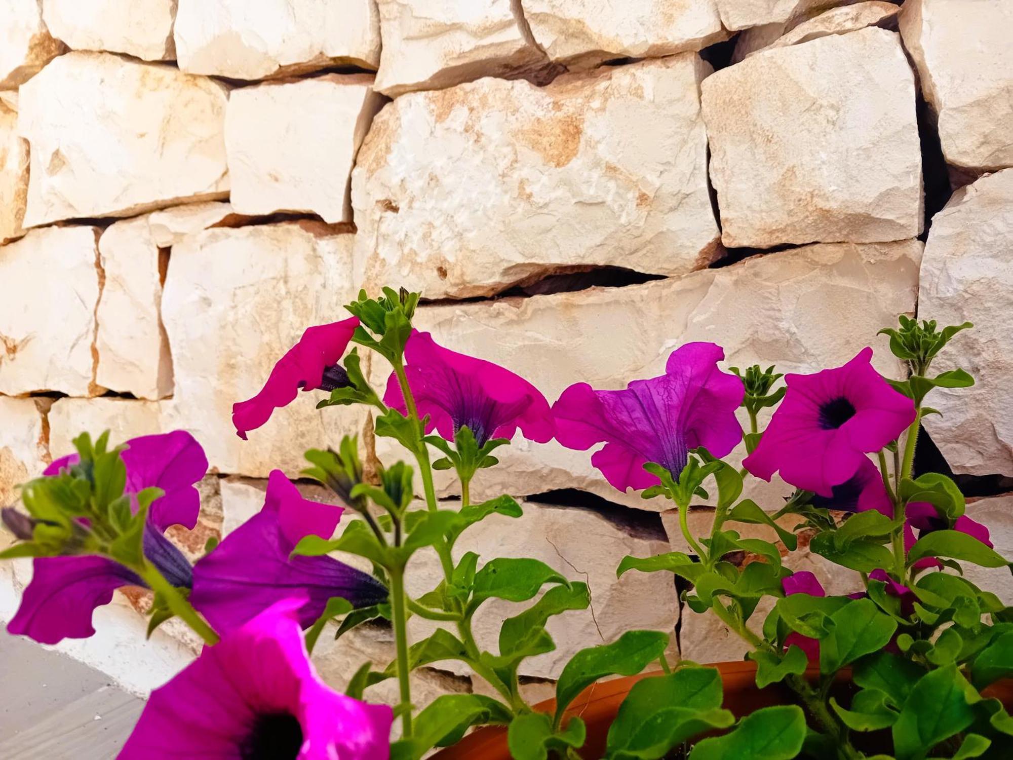 Готель Pietra Di Puglia Монополі Екстер'єр фото